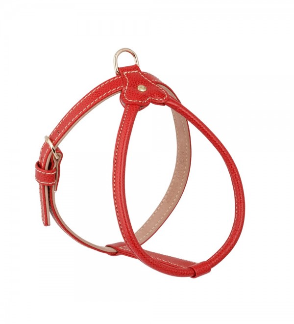 Harness Prague Red