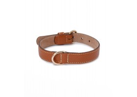 Collar de Cuero para Perros Praga Camel