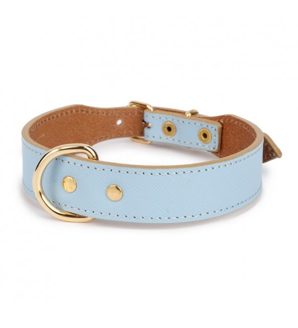 Collar for Small Dogs Moni Baby Blue