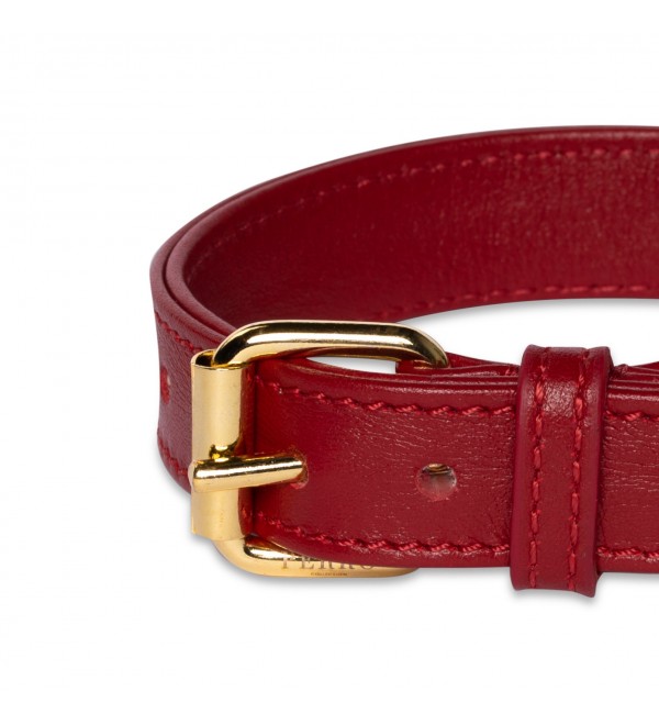 Collar de Cuero Perro Scarlet