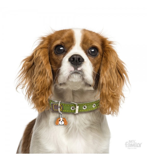 Dog Tag Friends Cavalier King Blenheim