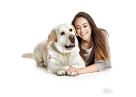 Dog tag Friends Yellow Labrador