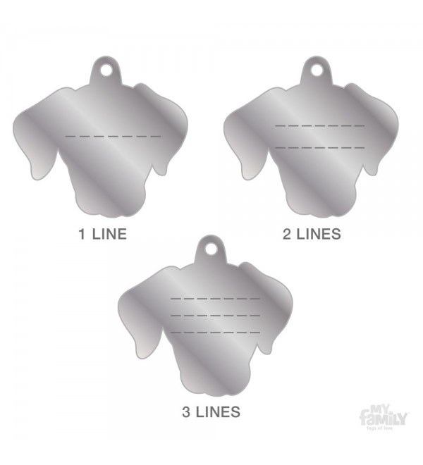 Dog Tag Friends Chocolate Labrador
