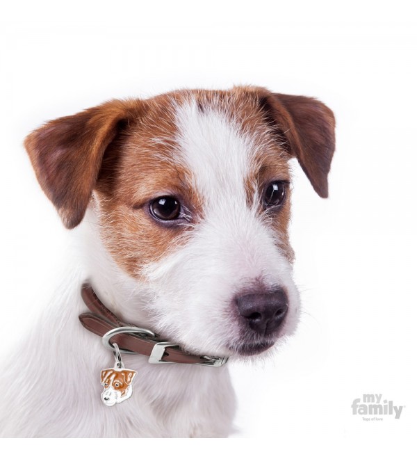 Chapa Perro Friends Jack Russell Broken