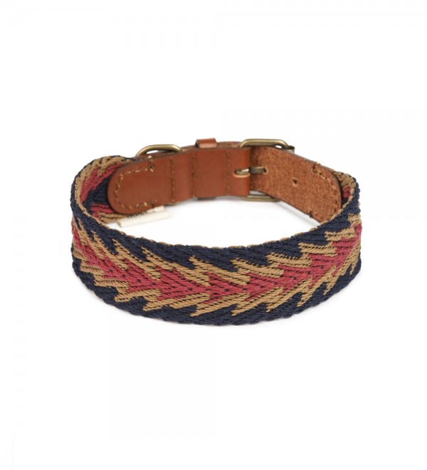 Collar Dog Peruvian Blue Arrow