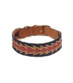 Collar Dog Peruvian Blue Arrow