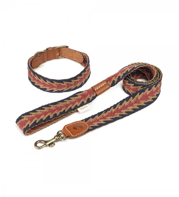 Collar Dog Peruvian Blue Arrow