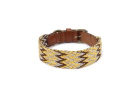 Collar Perro Peruvian Gold