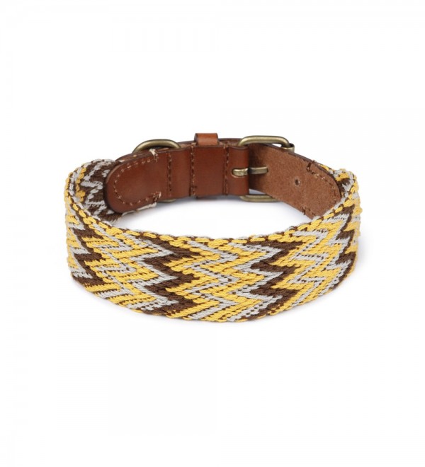Collar Perro Peruvian Gold