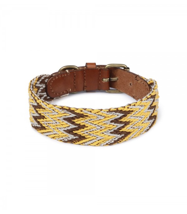 Collar Perro Peruvian Gold