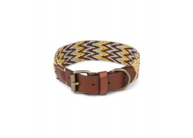 Collar Perro Peruvian Gold