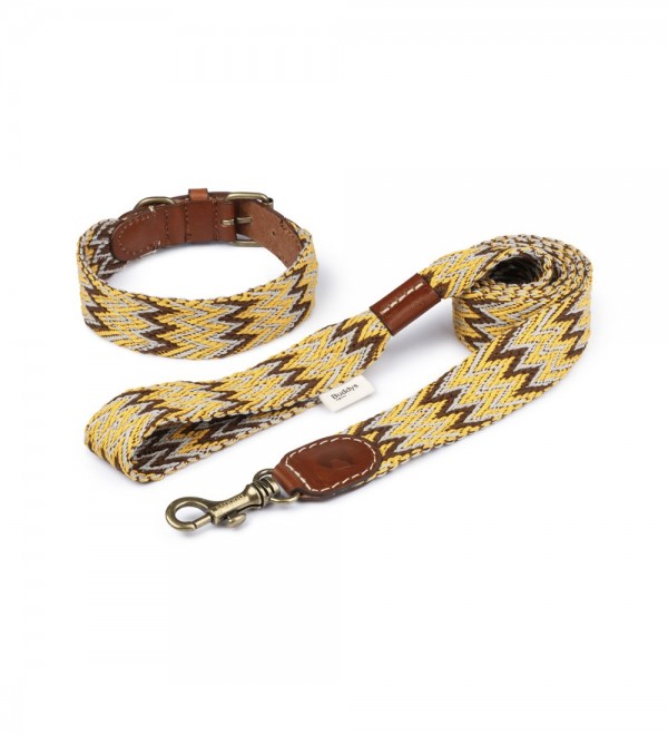 Collar Perro Peruvian Gold