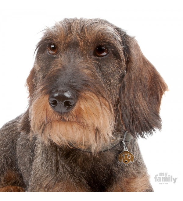 Brown Wire-Haired Dachshund Dog Tag