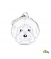 Dog ID Tag Friends Bichon Bolognese
