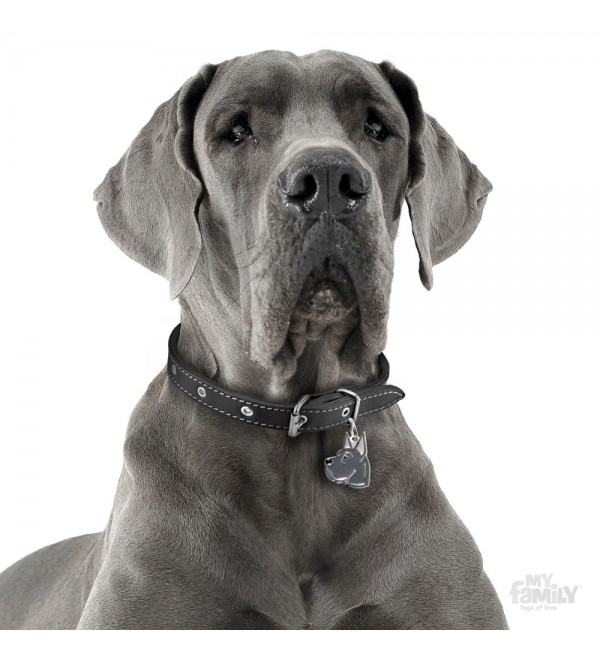 Collar Dog Friends Great Dane