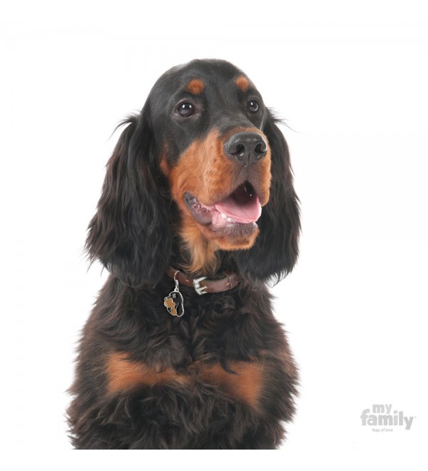 Chapa Perro Friends Gordon Setter