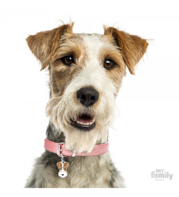 "Chapa Perro Friends Fox Terrier" translates to "Dog Tag Friends Fox Terrier" in English.
