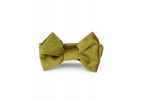 Green bow tie Francesco.