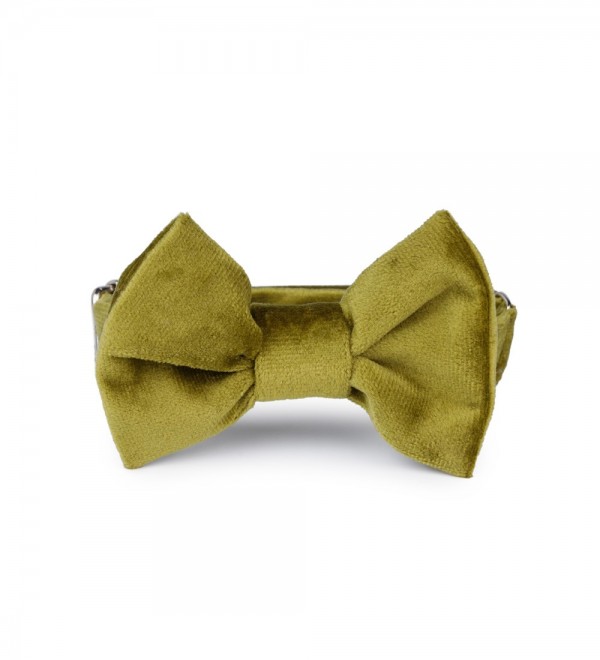 Green bow tie Francesco.