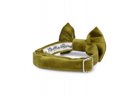 Green bow tie Francesco.