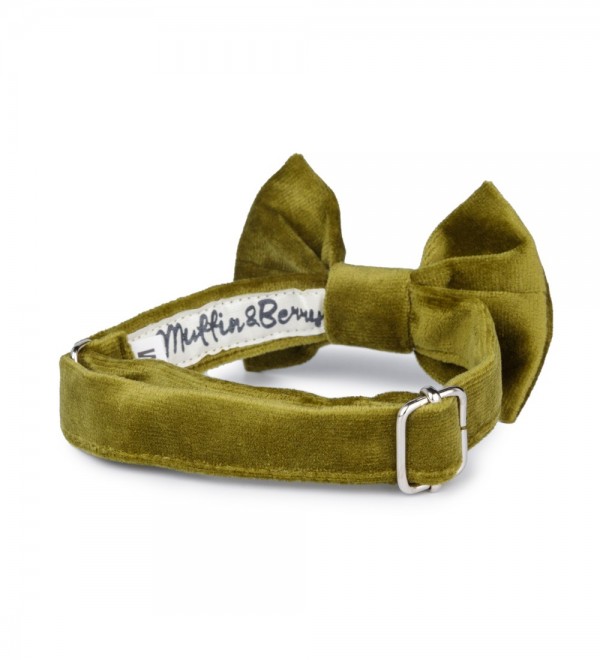 Bow tie Francesco Green