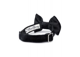 Black Francesco Bowtie
