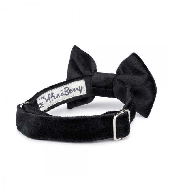 Black Francesco Bowtie