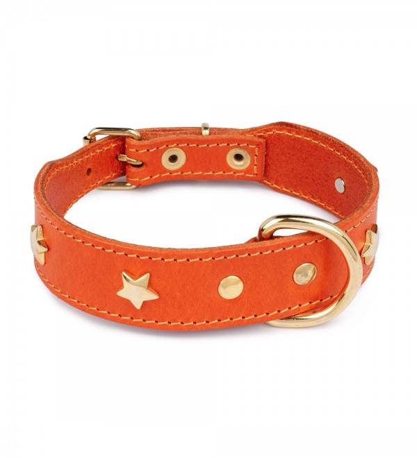 Collar De Cuero Para Perro - Star Naranja
