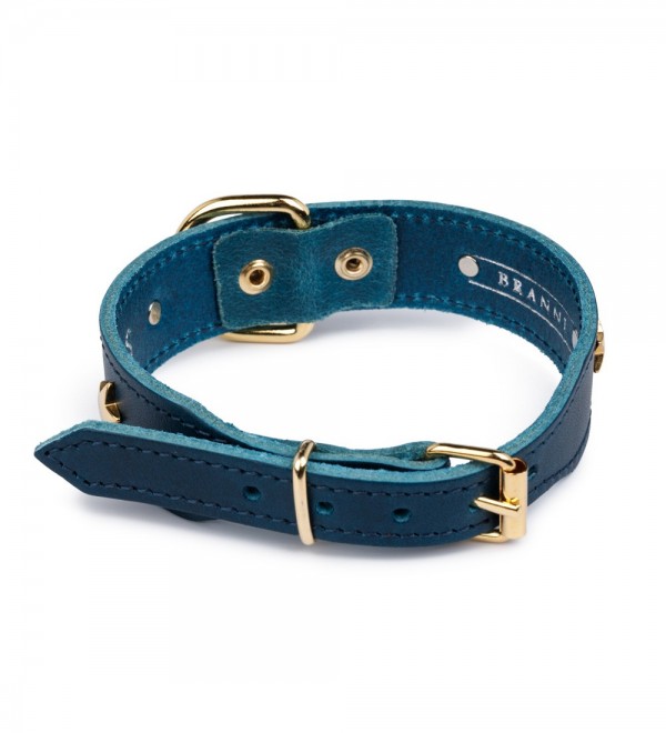 Leather Dog Collar - Blue Star