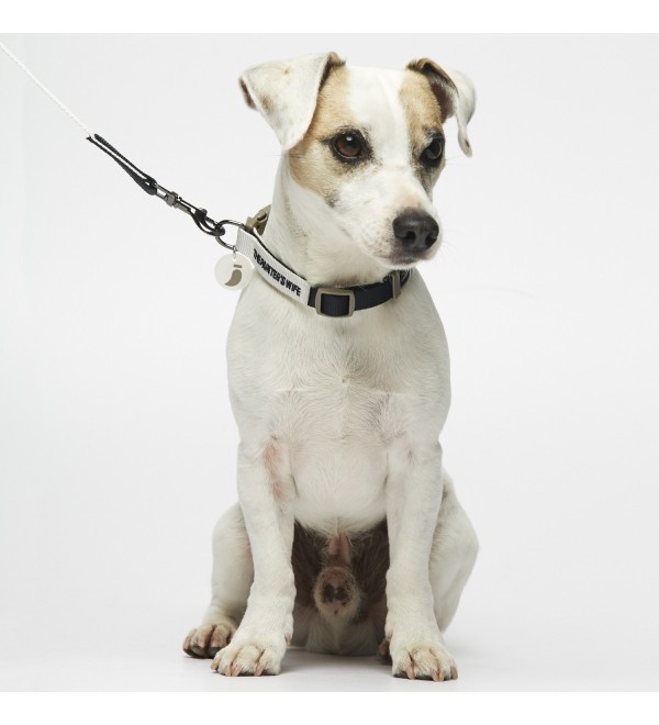 Collar Sonia Azul Marino