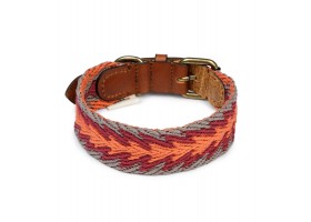 Collar for Peruvian Orange Arrow Dog