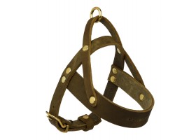 Leather harness Olive Tree Butter