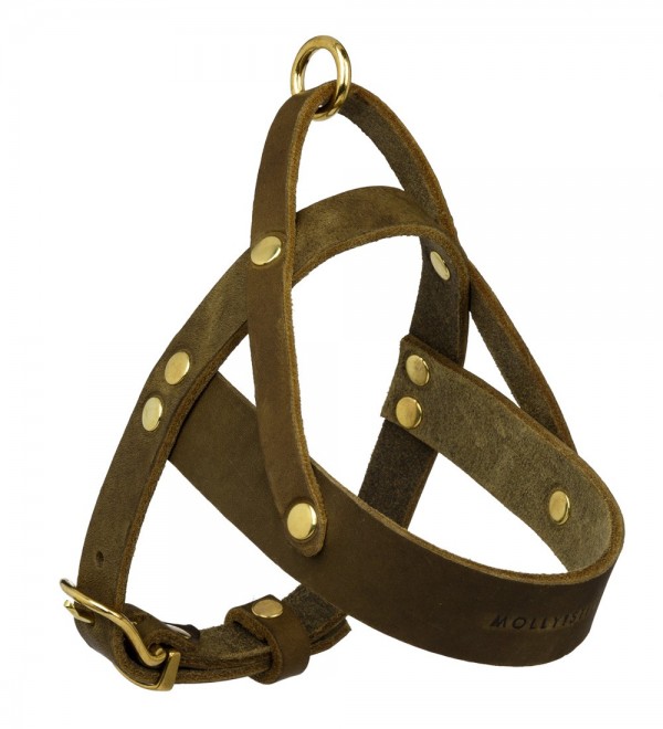 Leather harness Olive Tree Butter