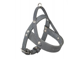 Butter Timeless Gray Harness