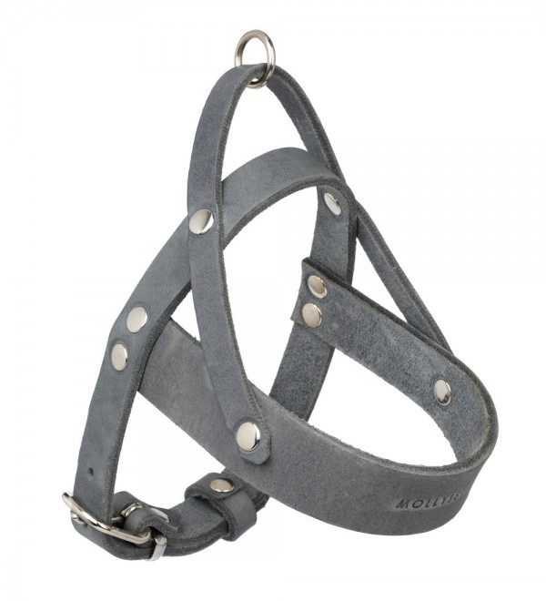 Leather Harness Butter Timeless Grey