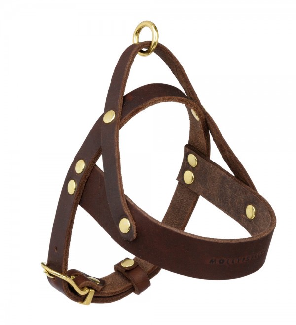 Arnés para perros Cuero Butter Classic Brown