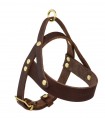 Butter Classic Brown Harness