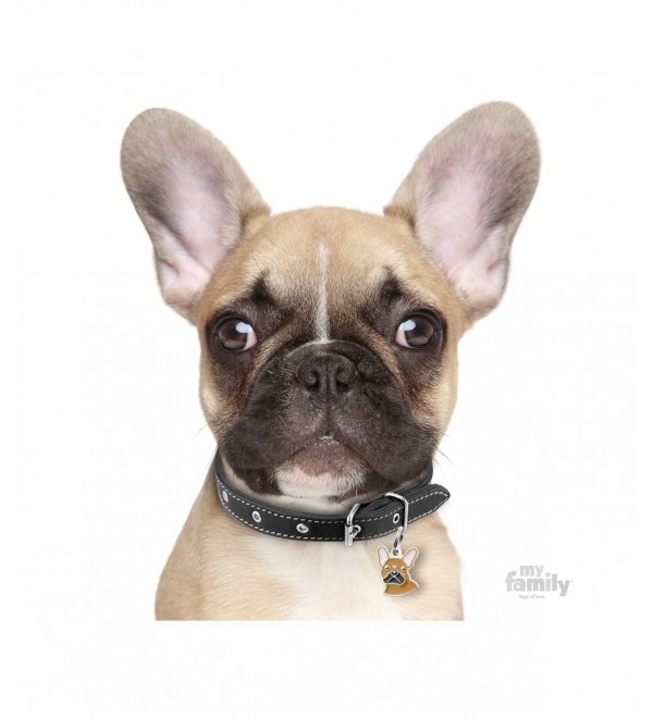 Chapa Friends French Bulldog Brown