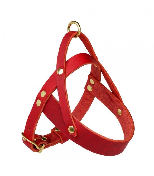 Butter Chili Red Harness