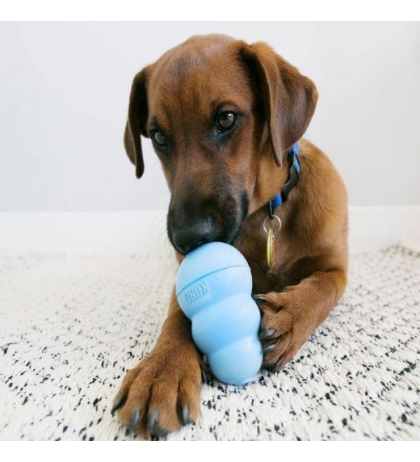 Kong Puppy Azul