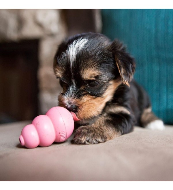 Kong Puppy Rosa