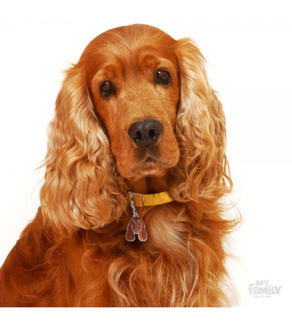 Chapa Perro Friends Cocker Spaniel Dorado