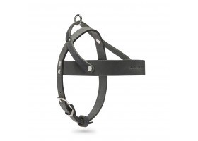 Butter Timeless Gray Harness