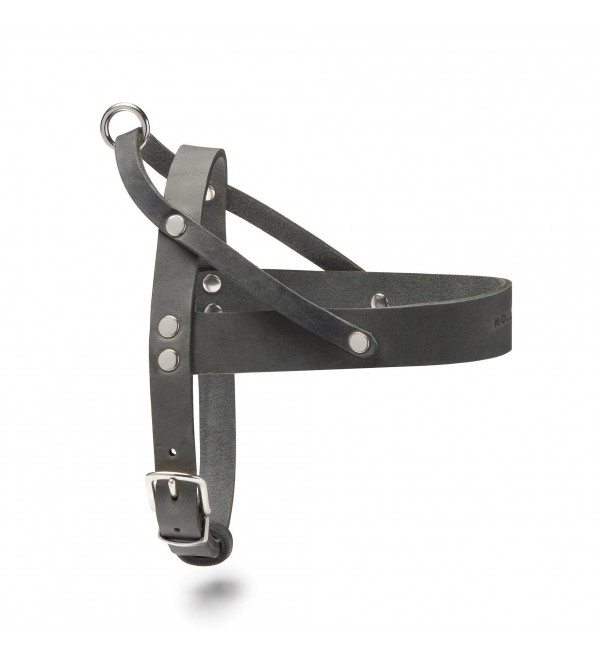 Arnés Cuero Butter Timeless Grey