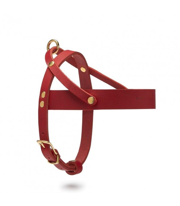 Butter Chili Red Harness