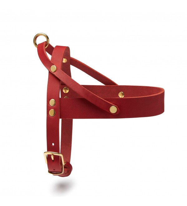 Arnés Cuero Butter Chili Red