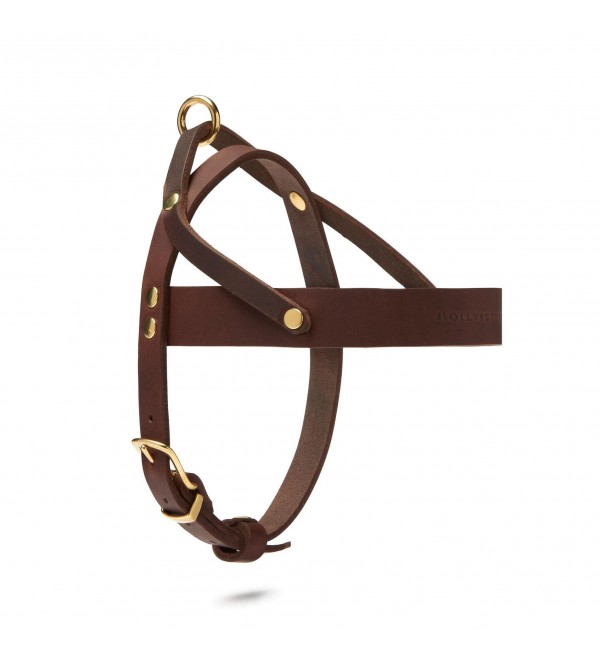 Butter Classic Brown Leather Harness