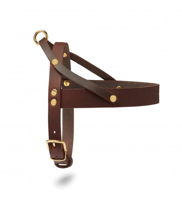 Butter Classic Brown Leather Harness