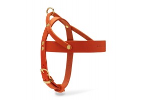 Butter Mango Harness