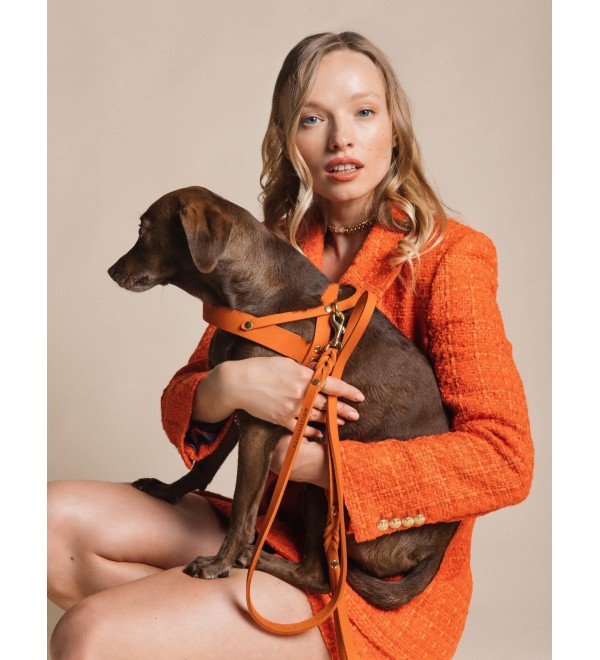 Butter Mango Harness
